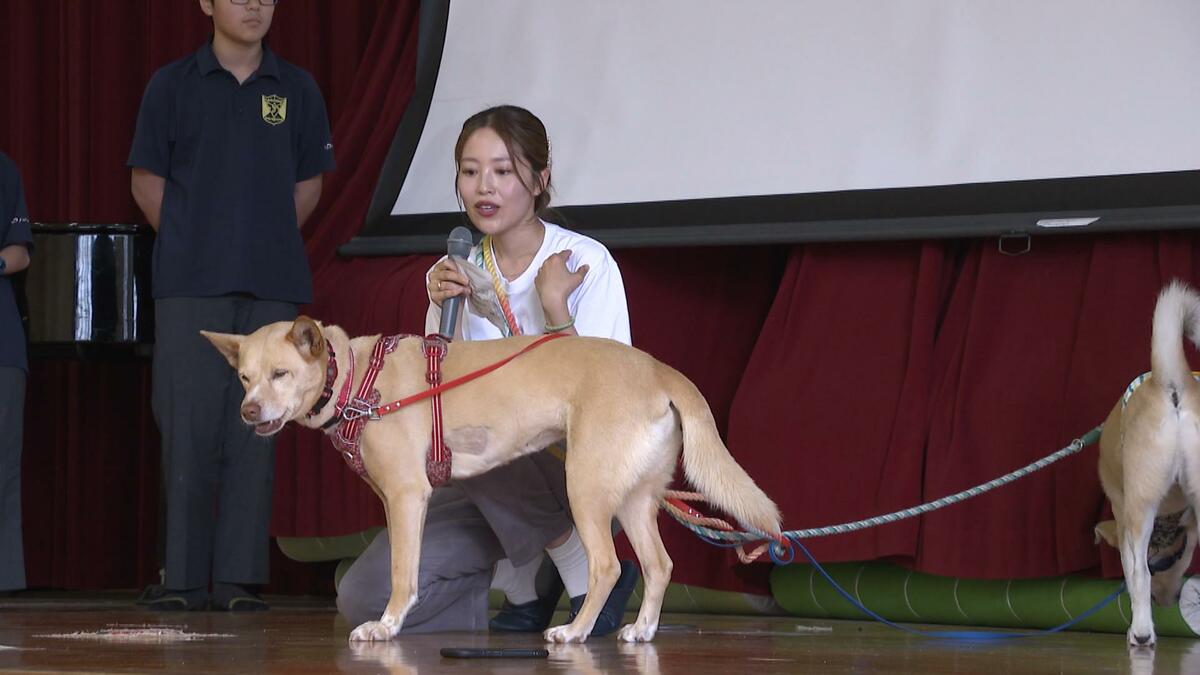 動物の殺処分をゼロに」元アイドル桑原みずきさんが伝える“命の重さ
