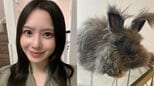 【 玉木碧 】 愛するウサギとの 突然の「別れ」に悲痛 「あんなに食欲もあって活発で急な事に受け止められません」|TBS NEWS DIG