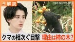 “柿の木で目撃相次ぐ”クマが民家の庭に クマにとって柿の木は1番都合の良いエサ【Nスタ解説】|TBS NEWS DIG