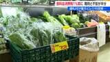 消費税4月から1%?!「本当に下がるか怪しい」「2年後には元に戻さなきゃ」買い物客とスーパーマーケットの本音 新潟|TBS NEWS DIG