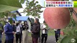 収穫最盛期を前に「リンゴ」の盗難防止のパトロールはじまる 農家に見回りの徹底呼びかけ|TBS NEWS DIG