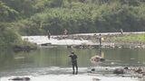 ことしは苦戦…川の水量少なく 三重・大内山川でアユの友釣り大会 釣り人が腕前競う|TBS NEWS DIG