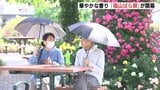 会場に華やかな香り　地元最大のイベント「福山ばら祭」が開幕　新品種や関連グッズを紹介　広島県福山市|TBS NEWS DIG
