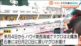 「将来船の上で働きたい」ハワイ沖でマグロ漁に挑戦 水産学ぶ高校生 実習船で出航 宮城・石巻市 | 宮城のニュース│tbc NEWS│tbc東北放送
