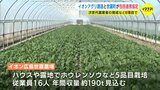 イオンアグリ創造　中国地方３か所目の農場を広島･世羅町に開設　包括連携協定で地域に貢献　|　RCC NEWS | 広島ニュース | RCC中国放送
