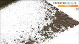 「まるで雪が降ったように目の前が真っ白」大気不安定 各地で"ひょう" 宮城|TBS NEWS DIG