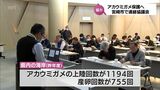 アカウミガメの保護へ 宮崎市で行政や関係団体による連絡協議会|TBS NEWS DIG