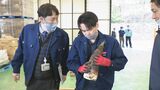 推しは「タケノコごはん」最大産地の金沢で朝どれ初出荷　|　石川県のニュース｜MRO北陸放送