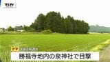 ドローンによる捜索でクマ発見 クマは神社内に潜んでいることが判明 今後は緊急銃猟の可能性(山形・鶴岡市) | 山形のニュース│TUYテレビユー山形