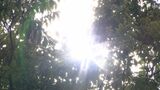 「暑くて耐えられない」静岡市で37℃予想 危険な暑さが続く 熱中症で運ばれ重症の高齢者も | 静岡のニュース | SBSNEWS | 静岡放送