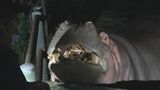 夜行性動物を観察 沖縄こどもの国で「わくわくZOOナイト」|TBS NEWS DIG