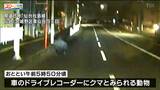 26日夜も仙台市中心部でクマの目撃相次ぐ 同一個体か 川沿いを上流に移動した可能性も　|　宮城のニュース│tbc NEWS│tbc東北放送