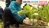 給食の残りで作った“たい肥”で育てた「女池菜」を 明日はみそ汁でおいしくいただく『食の循環教育』新潟市|TBS NEWS DIG