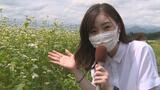 「まるで真っ白なじゅうたん」ソバの花が見ごろ(福島県喜多方市) | 福島のニュース│TUF
