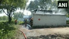 インド南部2つの花火工場で“爆発”　計11人死亡| TBS CROSS DIG with Bloomberg