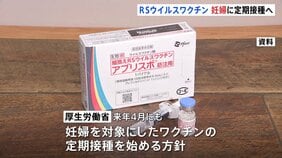 「RSウイルス」妊婦を対象にしたワクチン定期接種を開始へ 来年4月にも|TBS NEWS DIG