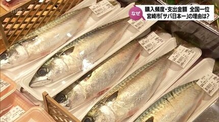 歳末特価　宮崎地区サボセットＡ 3月8日は「サバの日」宮崎市は「サバ」の購入頻度と支出金額が