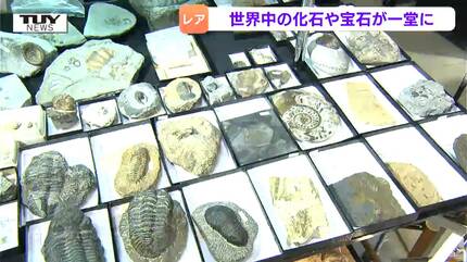 その数20万点以上！世界中から宝石や化石が集まる「山形ミネラル