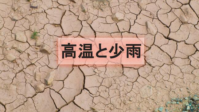 【深刻な少雨】近畿、中四国、九州北部で降水量1割〜3割…農作物や水不足の懸念【気象庁発表】|TBS NEWS DIG