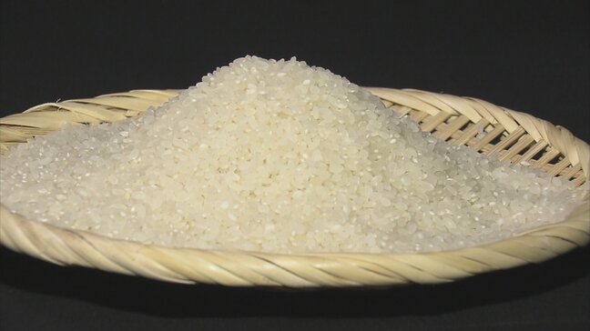 銘柄米の売上2割減のコメ販売店も「利益を少し削ってでも値下げせざるを得ない状況も考えられるのでは…」　全国で『随意契約の備蓄米』販売進むなか影響が…|TBS NEWS DIG