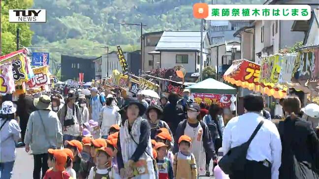 3キロの道路に362の露店がズラリ！ 日本三大植木市の1つ "薬師祭植木市" が始まる　種類豊富な花や植木に美味しい食べ物！（山形）|TBS NEWS DIG