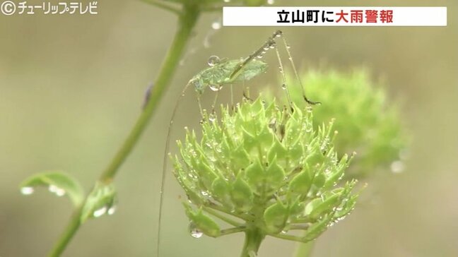 立山町に大雨警報　低気圧に向かって暖かく湿った空気　16日朝までに最大50ミリ予想　富山|TBS NEWS DIG