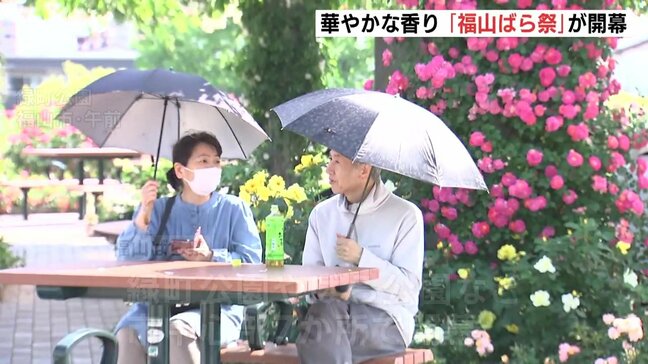 会場に華やかな香り　地元最大のイベント「福山ばら祭」が開幕　新品種や関連グッズを紹介　広島県福山市|TBS NEWS DIG