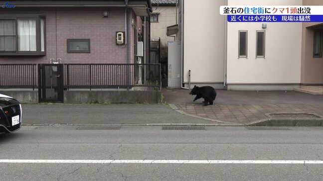 住宅街にクマ迷い込む　警察官に近寄るなど、現場は騒然　わな仕掛けるもクマは逃亡　岩手・釜石市|TBS NEWS DIG