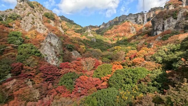 色鮮やかな渓谷美　小豆島町の寒霞渓で紅葉が見ごろ　このあと徐々に麓に降りてきて12月上旬まで色鮮やかに【香川】|TBS NEWS DIG