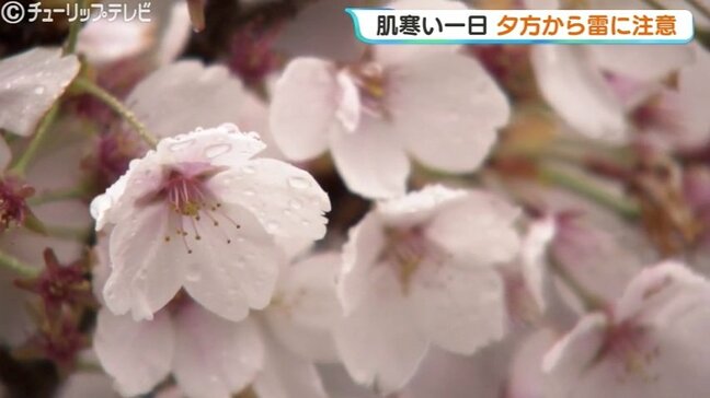 花散らしの雨の富山県内　未明に最高気温その後は下降　肌寒い一日に　夜は雷に注意　富山|TBS NEWS DIG