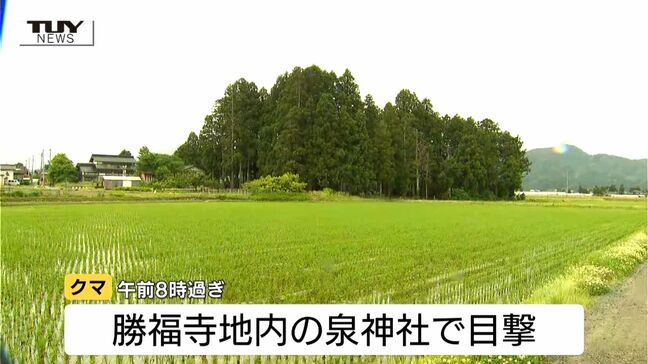 ドローンによる捜索でクマ発見　クマは神社内に潜んでいることが判明　今後は緊急銃猟の可能性（山形・鶴岡市）|TBS NEWS DIG