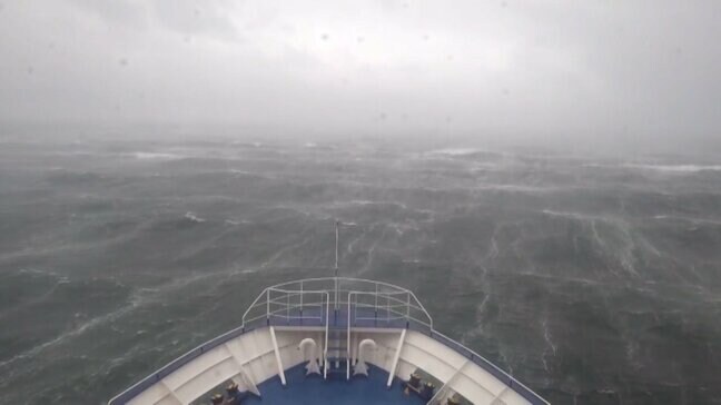 最強クラス台風10号　フェリーを守る鹿児島湾の“戦い”|TBS NEWS DIG