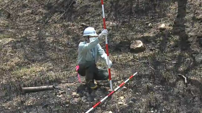 岡山県南部の山林火災　復旧計画の策定に向け土砂の流出の危険性などを確認する被害状況の調査始まる【岡山】|TBS NEWS DIG
