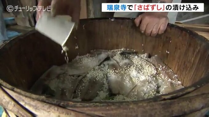 300年以上続く伝統　瑞泉寺 “さばずし” 漬け込み　富山・南砺市　|　富山のニュース｜天気・防災｜チューリップテレビ