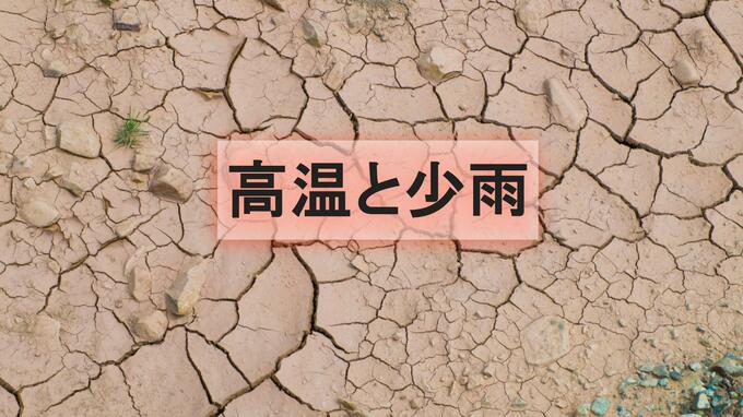 【深刻な少雨】近畿、中四国、九州北部で降水量1割〜3割…農作物や水不足の懸念【気象庁発表】|TBS NEWS DIG