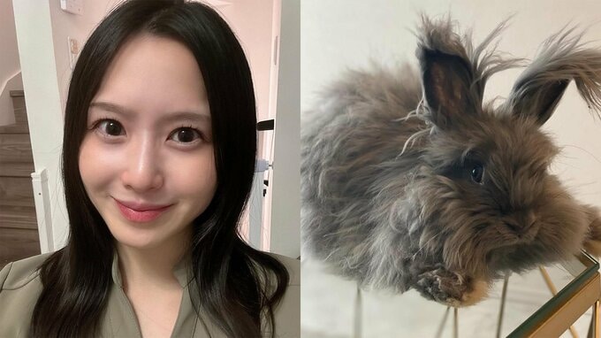 【 玉木碧 】　愛するウサギとの 突然の「別れ」に悲痛　「あんなに食欲もあって活発で急な事に受け止められません」|TBS NEWS DIG