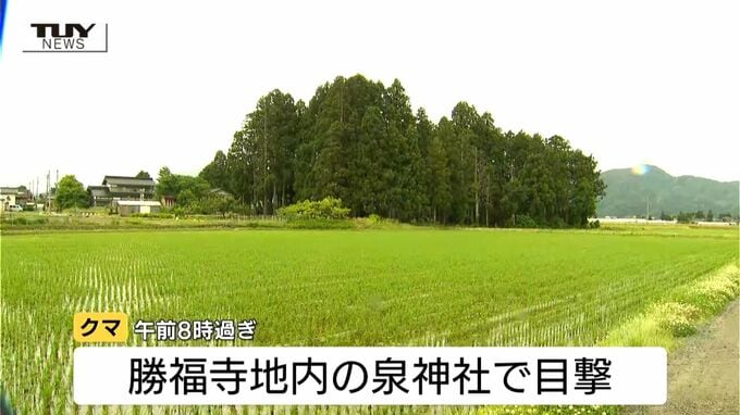 ドローンによる捜索でクマ発見　クマは神社内に潜んでいることが判明　今後は緊急銃猟の可能性（山形・鶴岡市）|TBS NEWS DIG