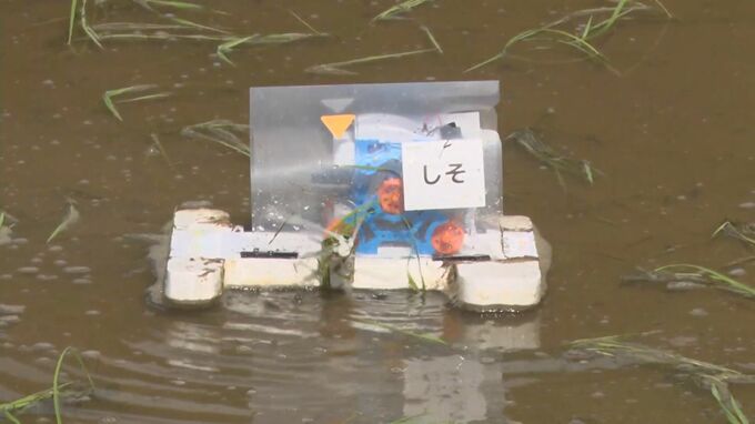 小学生がアイガモロボをプログラミング　島根県浜田市　|　BSSニュース | BSS山陰放送