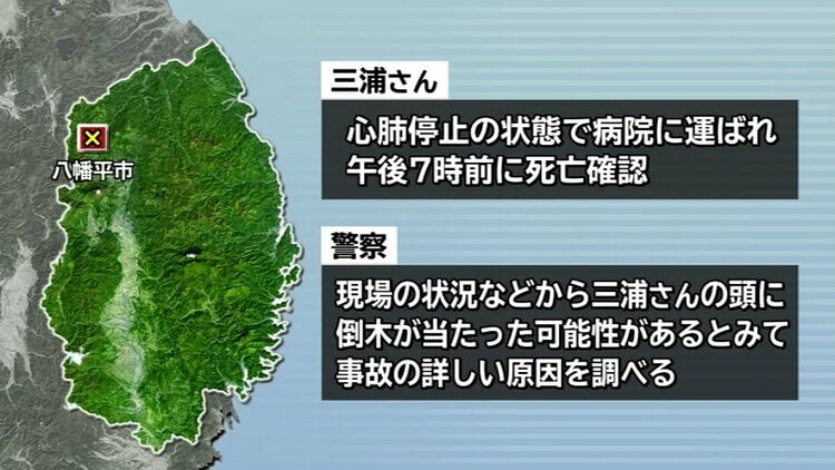 伐採作業中に83歳男性が死亡 仰向けで倒れているのを作業員が発見 頭に