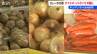 チンゲンサイが48円！タマネギ・ジャガイモは去年の半額!! 青果店が教える「いま買うべき野菜」はこれだっ!!! 新潟市　|　新潟のニュース・天気｜BSN NEWS｜BSN新潟放送