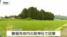 ドローンによる捜索でクマ発見　クマは神社内に潜んでいることが判明　今後は緊急銃猟の可能性（山形・鶴岡市）　|　山形のニュース│TUYテレビユー山形