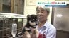 この場所で豆柴たちと歩む 「乗り切って私ができることを」　地震で知った人の温かさ　被災した豆柴ブリーダー　熊本・宇城市　|　熊本のニュース｜RKK NEWS｜RKK熊本放送