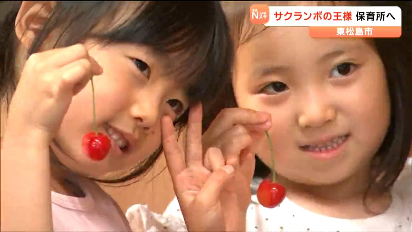サクランボの王様＝佐藤錦」友好都市から 園児への口元へ届く 宮城・東
