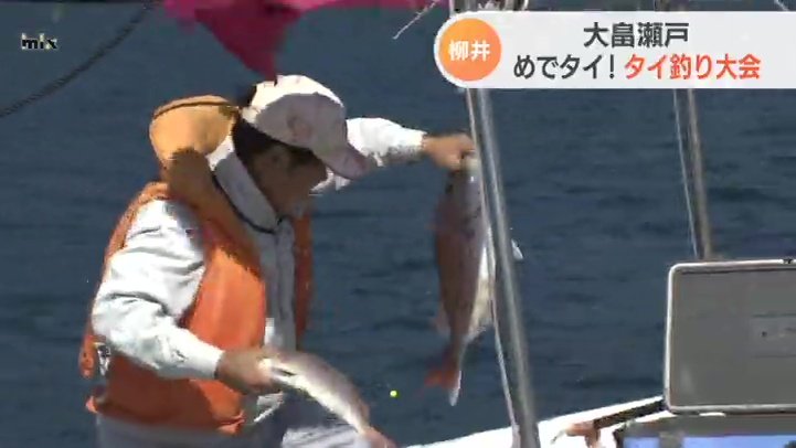 太公望が大物競う めでたい タイ釣り大会 Tysニュース ｔｙｓテレビ山口