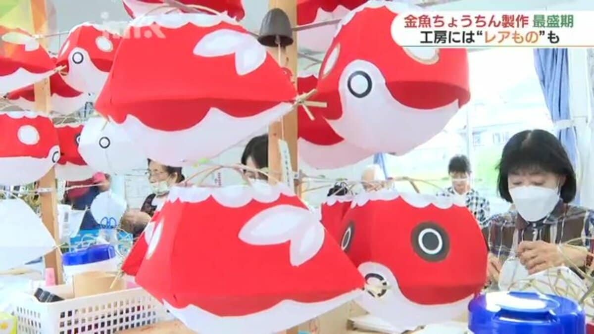 工房にはレアものも…夏の風物詩・金魚ちょうちん作り最盛期 | 山口の