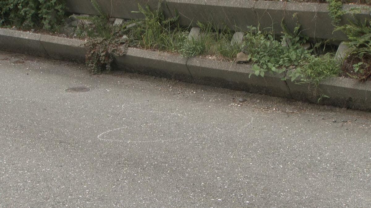 「無免許で捕まりたくなかった、草むらに隠れていた」悪質運転を繰り返し衝突事故起こして現場から逃走　出頭してきた男を逮捕【高知】