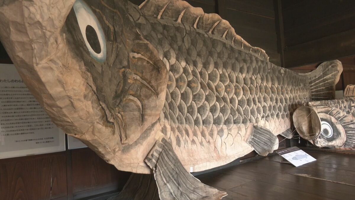 全長9.5メートル 和紙で作った｢巨大こいのぼり｣ 伝統工芸“山中和紙” 目つきやうろこは独特の風合いが 岐阜･高山市｢飛騨の里｣