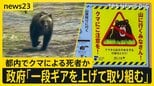 クマに襲われた可能性…“上半身のない遺体”が東京・埼玉にまたがる峠に　各地で相次ぐクマ被害「一段ギアを上げて取り組む」政府が対策会議【news23】|TBS NEWS DIG