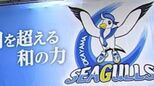 【岡山シーガルズ】栗栖明歩選手と藤原絢奈選手が引退へ「これまで出会った全ての方との繋がりに感謝」「トップレベルでの戦いが難しいと判断」|TBS NEWS DIG