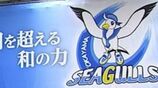 エリアのスポーツの結果　岡山シーガルズ・岡山リベッツ・香川ファイブアローズ・トライフープ岡山|TBS NEWS DIG